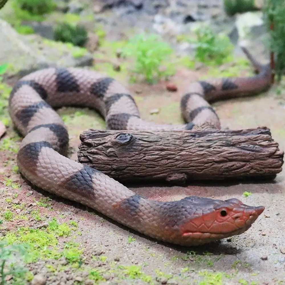 Figura de serpiente educativa tipo pitón/cobra/cascabel