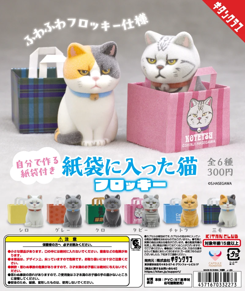 Gato flocado en bolsa de papel, vista de conjunto