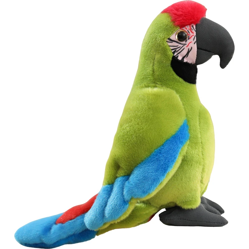 Peluche realista de loro tropical: muñeco suave para jugar educativo