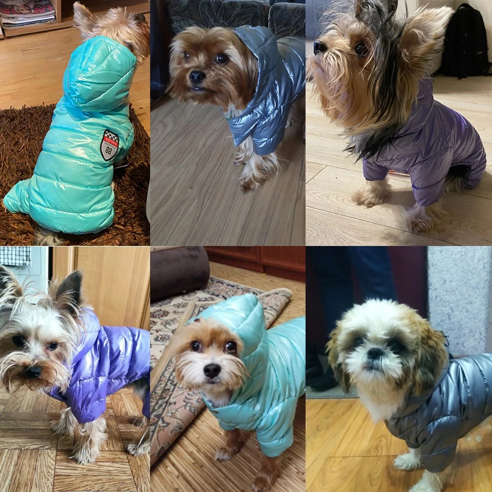 Abrigo impermeable con capucha para niños pequeños y medianos - imagen 4