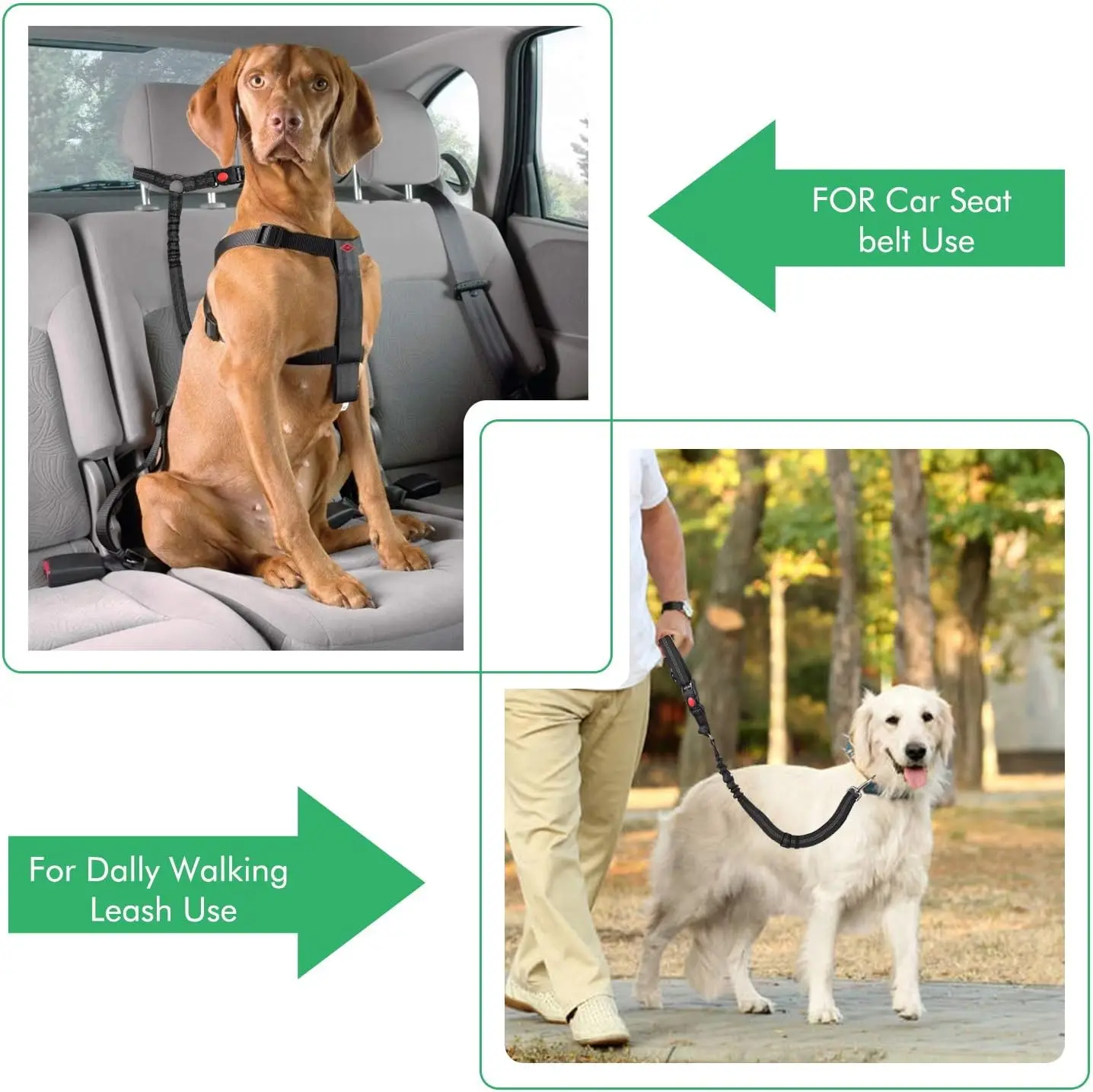 Correa de seguridad reflectante elástica para perro con amortiguador - imagen 3