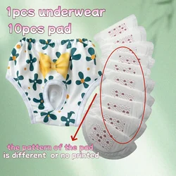 Pañales reutilizables para perros con almohadillas absorbentes