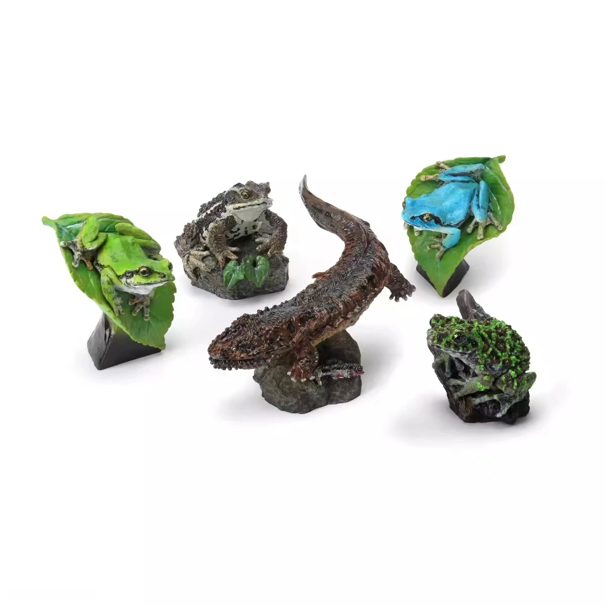 Rana de árbol japonesa verde modelo
