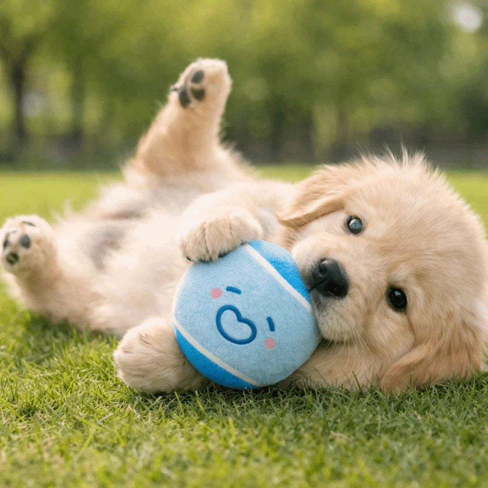 Pelotas elásticas de tenis para mascotas con sonido chirriante - imagen 3