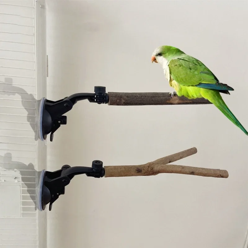 Percha para loros de madera con ventosa y soporte para jaula - imagen 5
