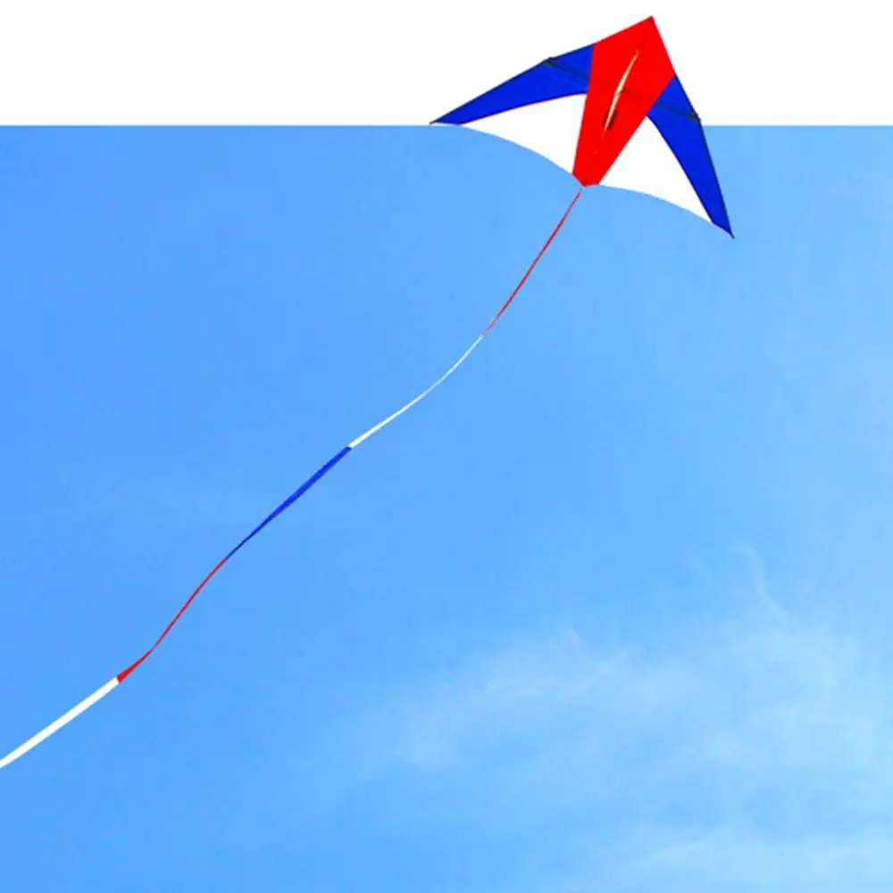 Cola de cometa infantil dinámica con motivos de dibujos animados - imagen 2
