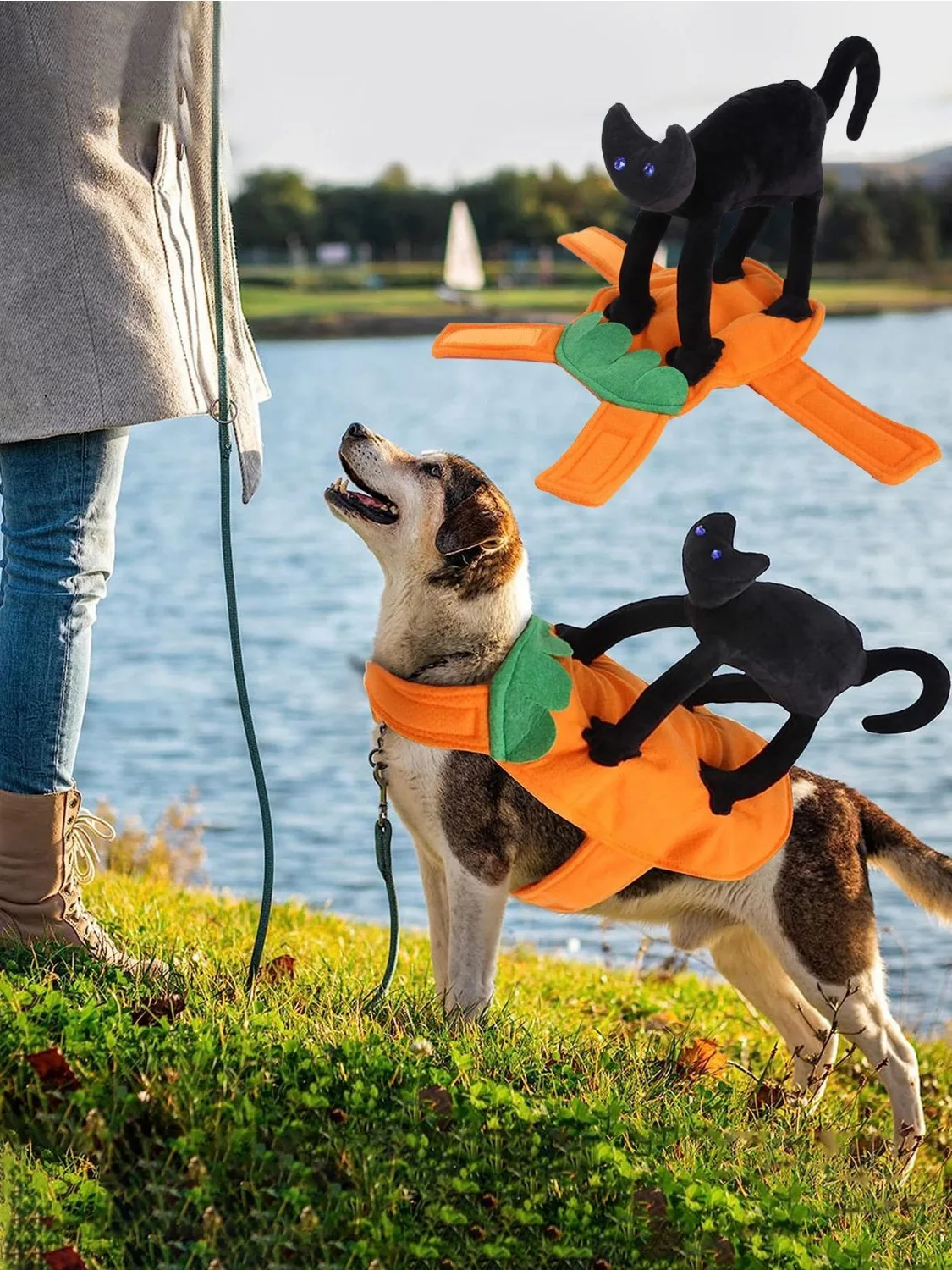Disfraz de calabaza para mascotas visto de frente