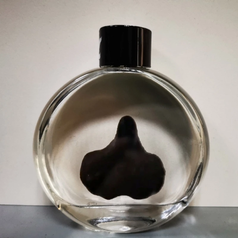 Kit de ciencia con ferrofluido móvil de escritorio para adolescentes - imagen 3