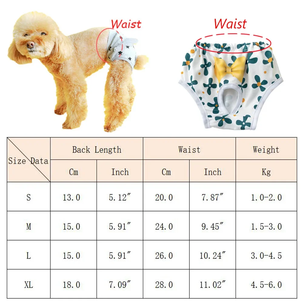 Pantalones fisiológicos reutilizables para perros pequeños Malteses - imagen 2