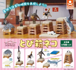 Figuras de gato para niños – Juguetes educativos de animales