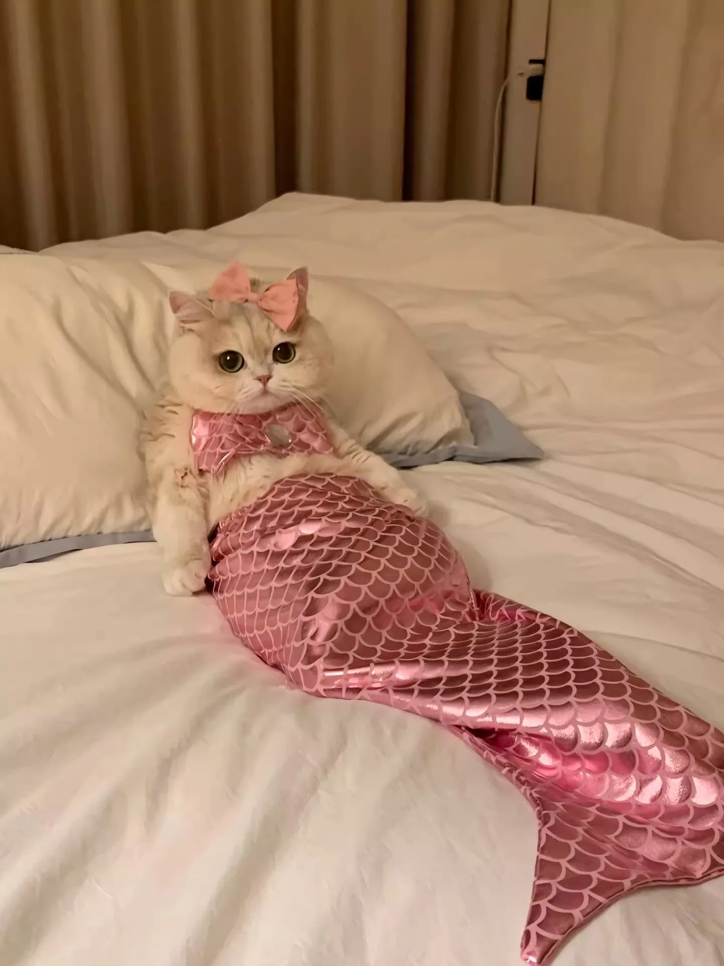 Foto creativa con disfraz de sirena