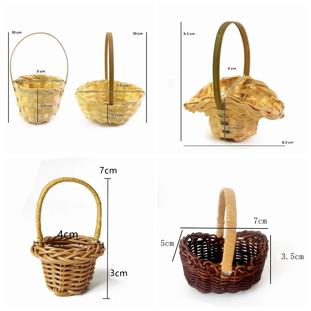 Cesta con suculenta pequeña