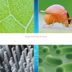 Microscopio de ciencia premium para niños, nivel estudiantes