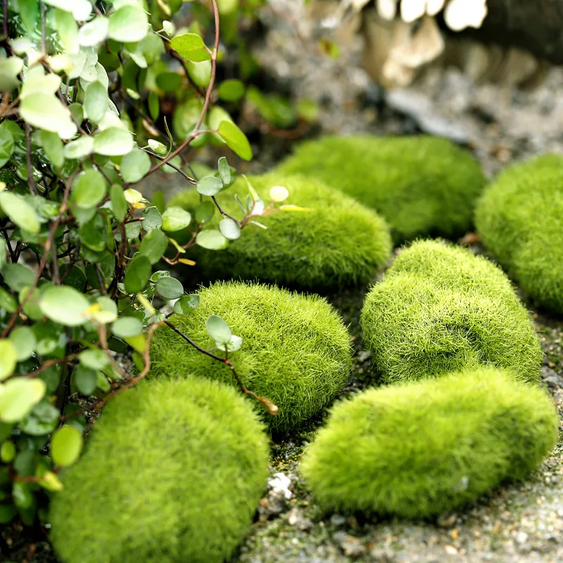 Plantas de musgo artificial verde – Decoración miniatura jardín de hadas - imagen 4