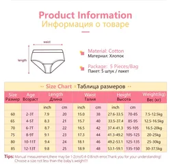 Braguitas de algodón Cinnamoroll para niñas – Suaves y transpirables