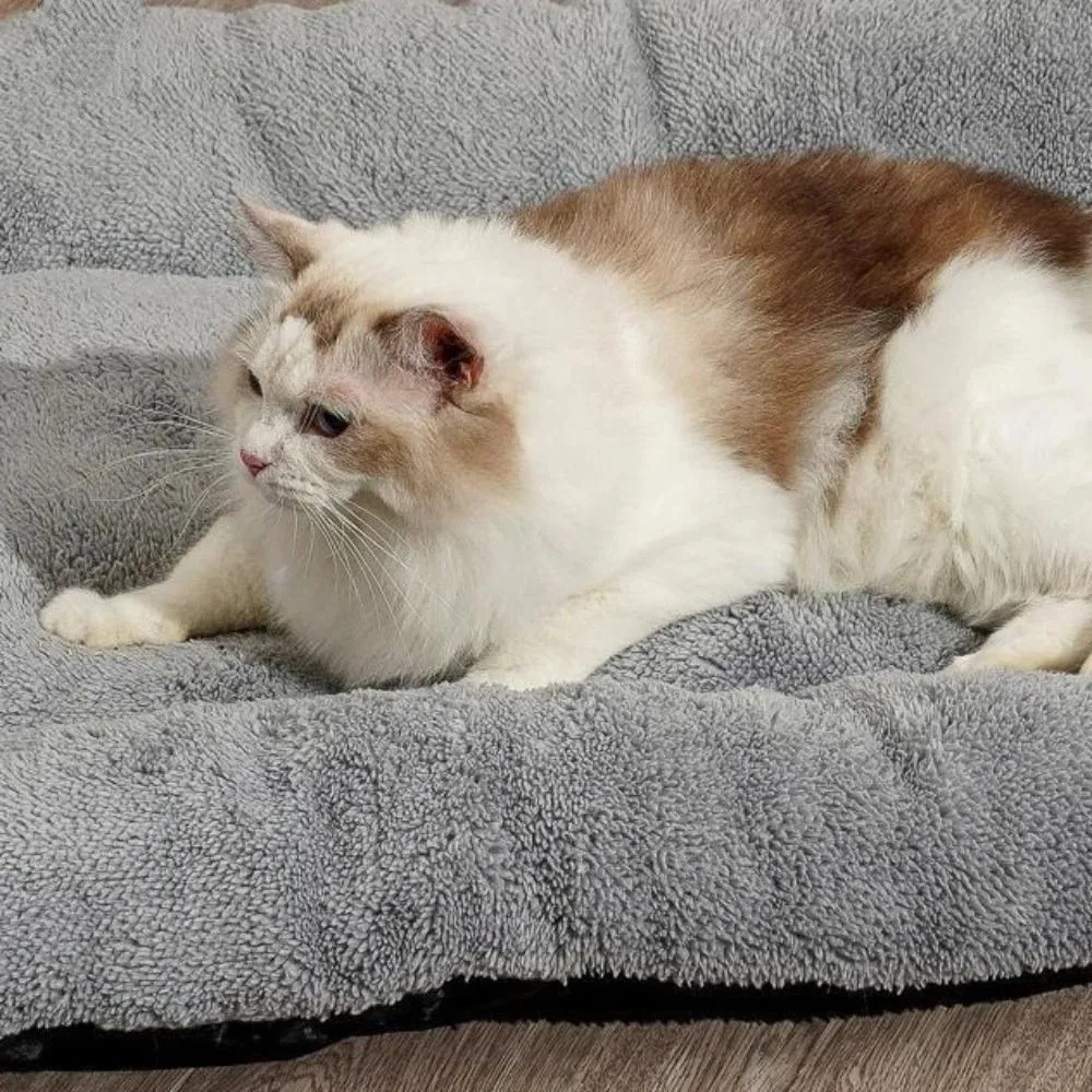 Cama cálida antideslizante de felpa suave para mascotas