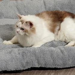 Cama cálida antideslizante de felpa suave para mascotas