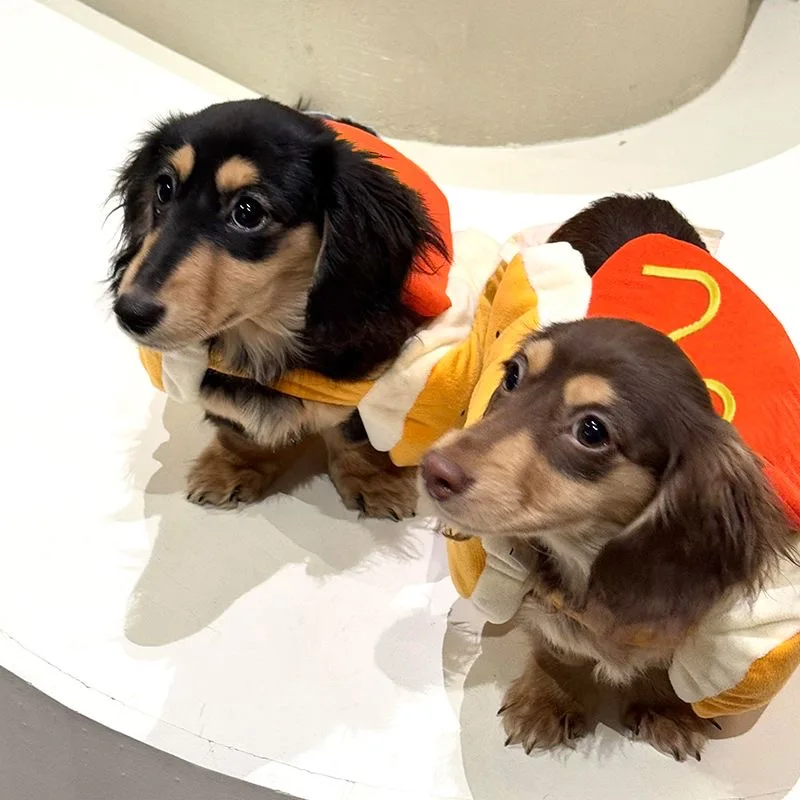 Disfraces navideños para mascotas: ropa ajustable para perros y gatos - imagen 4