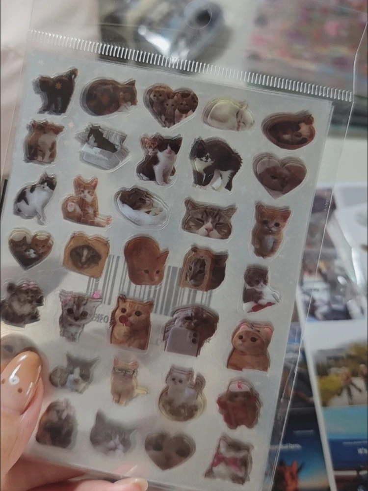 Pegatinas láser de gato translúcidas con purpurina impermeables - imagen 2