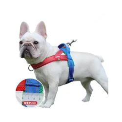 Transportín para perros a prueba de golpes con correa de pecho