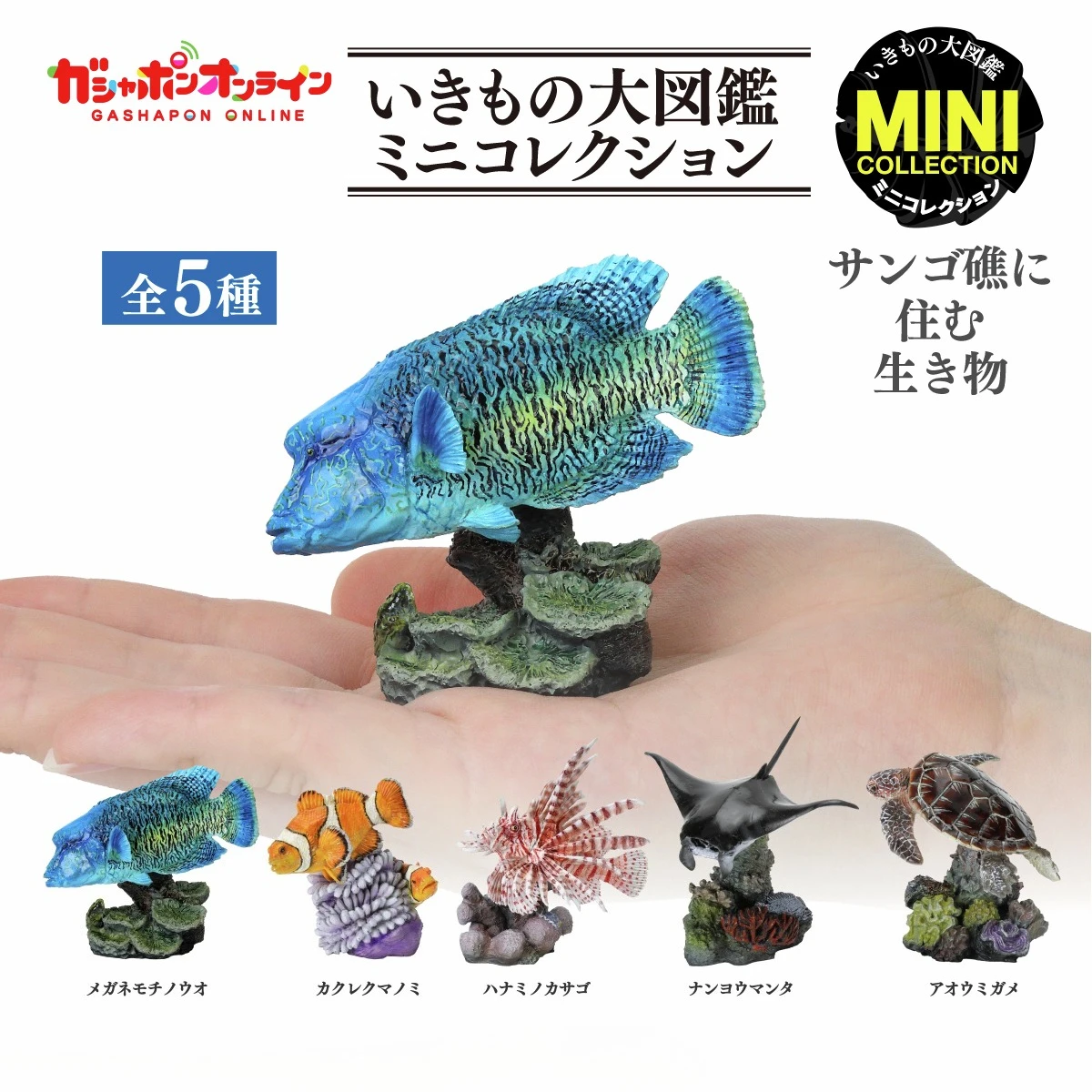 Figuras cápsula: Manta Ray, pez león y coral – colección ilustrada