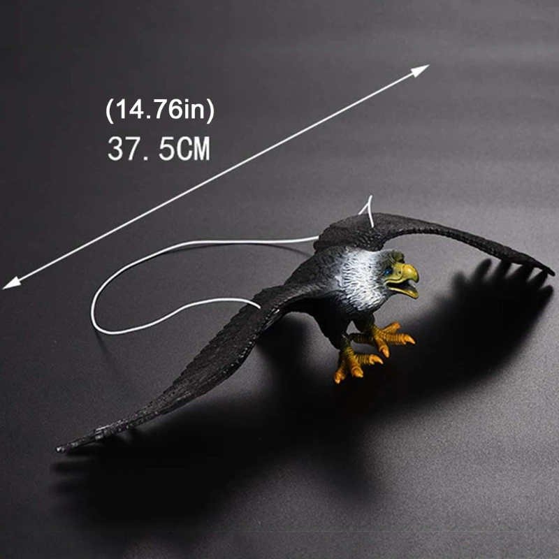 Águila negra en posición de vuelo