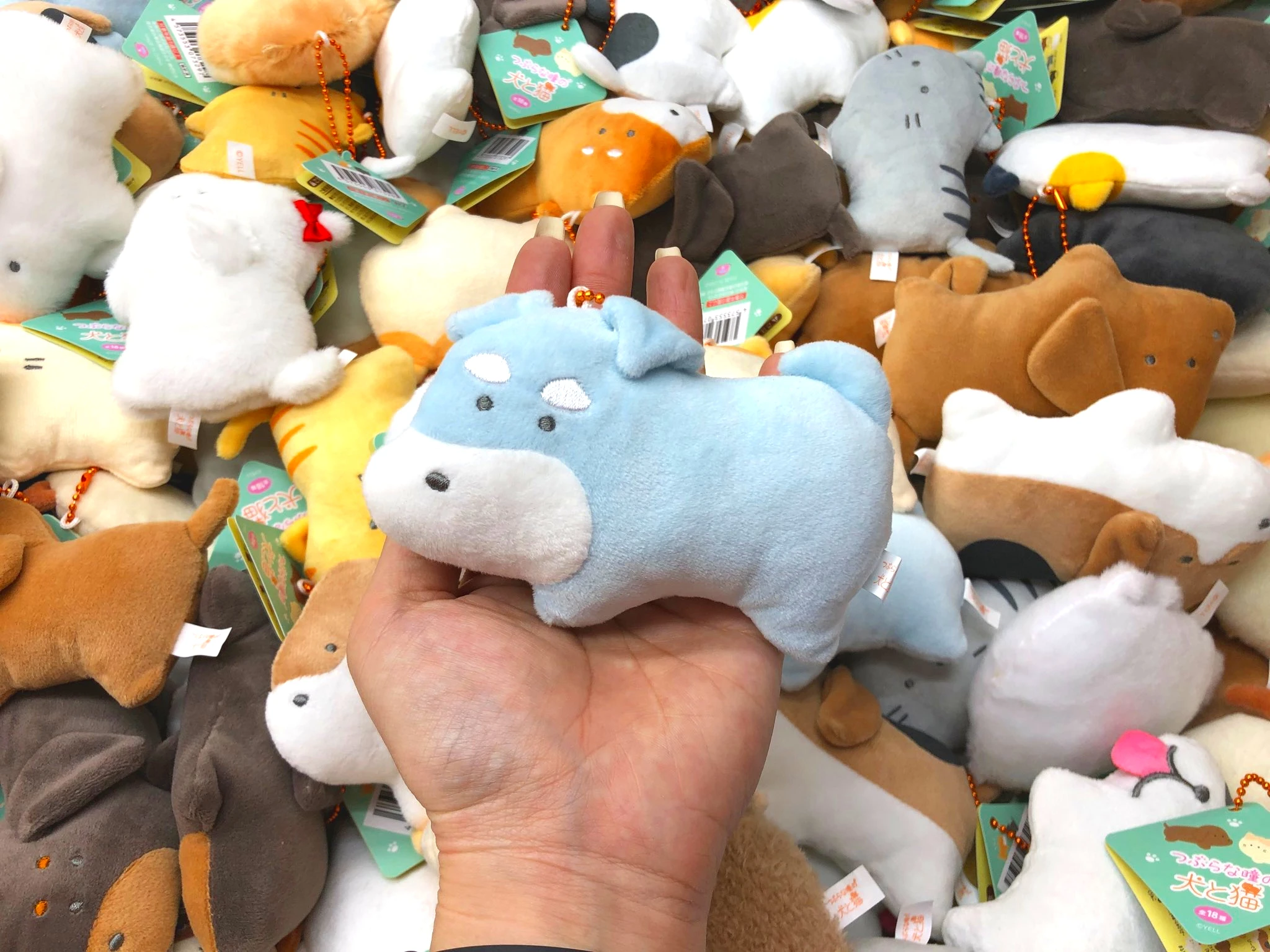 Peluche Yell de perro pequeño con ojos redondos, colgante infantil - imagen 4