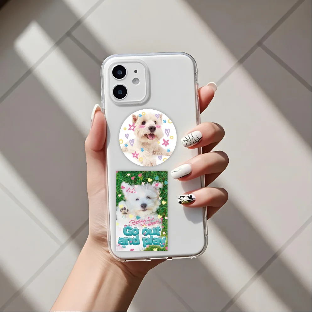Motivos de animales para decoración