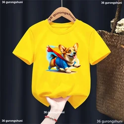 Camiseta infantil Corgi arcoíris – Estilo kawaii verano