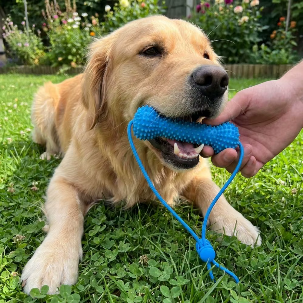 Palo de dentición para perros anti-asfixia resistente a mordidas - imagen 5