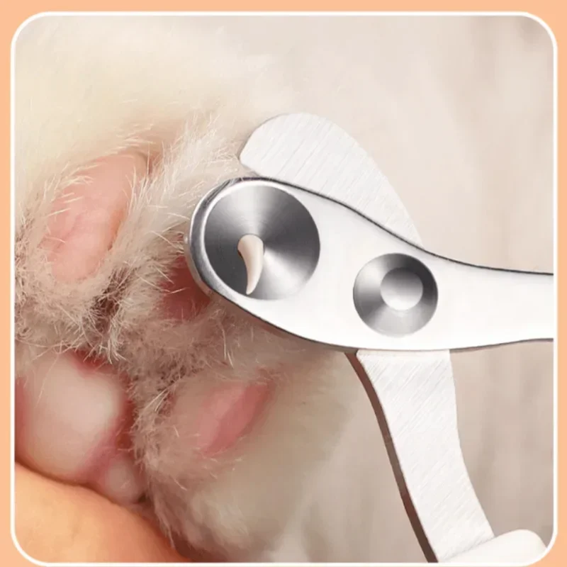Cortauñas para gatos y perros pequeños de acero inoxidable - imagen 3