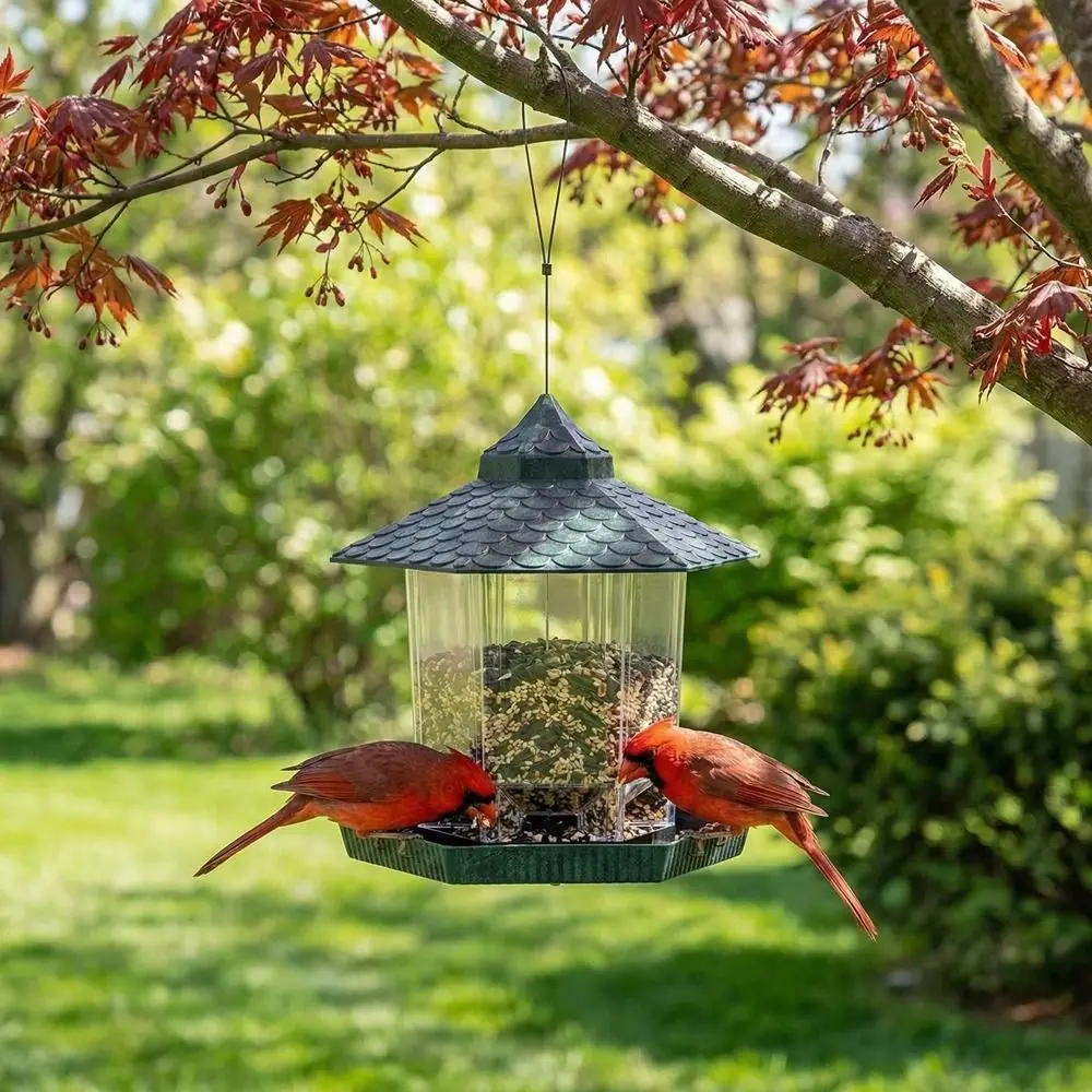 Comedero para pájaros colgante tipo torre de plástico transparente - imagen 4