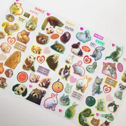 Pegatinas de dinosaurios y animales marinos – Vinilo impermeable