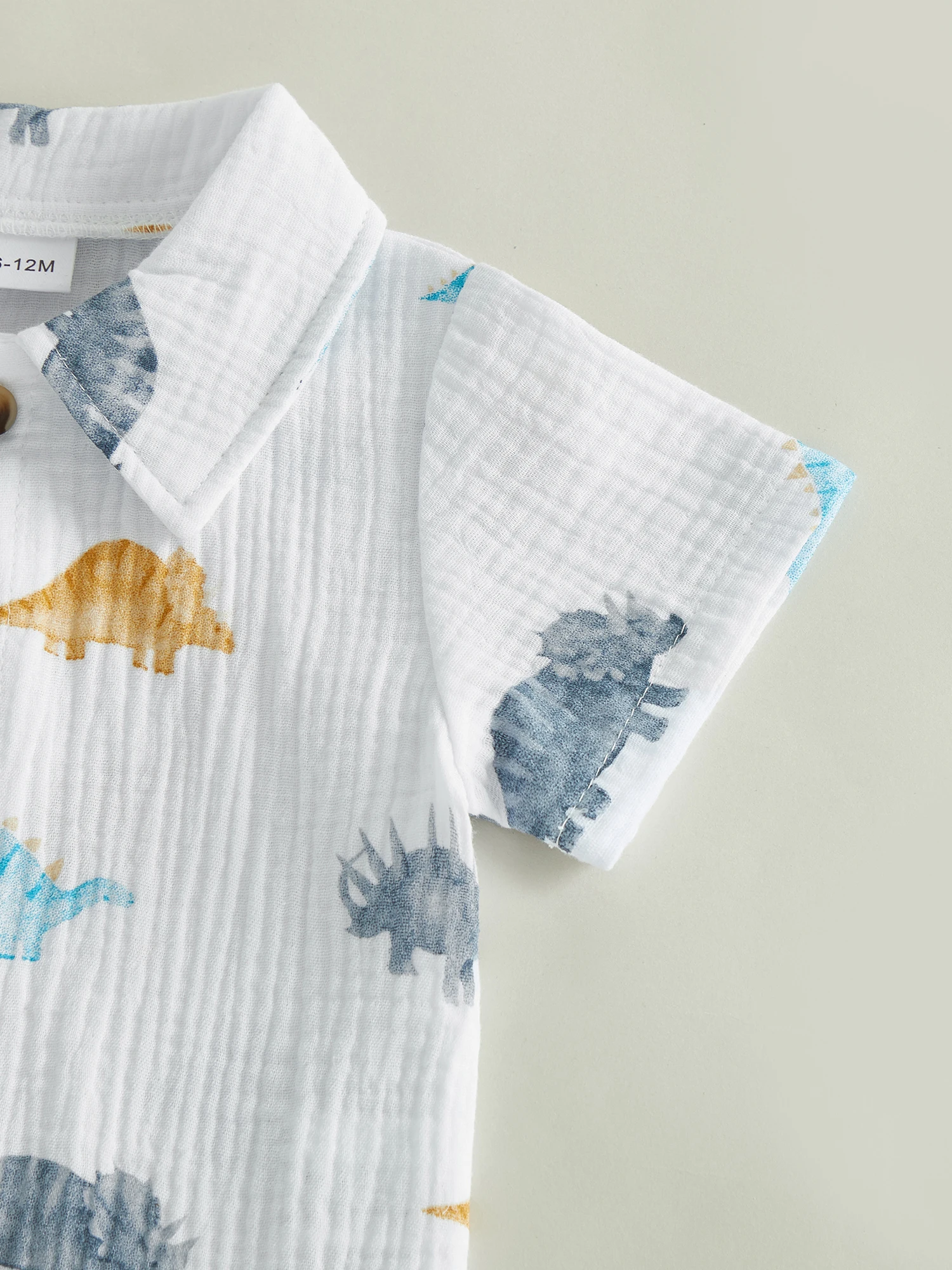 Estampado de dinosaurios multicolor
