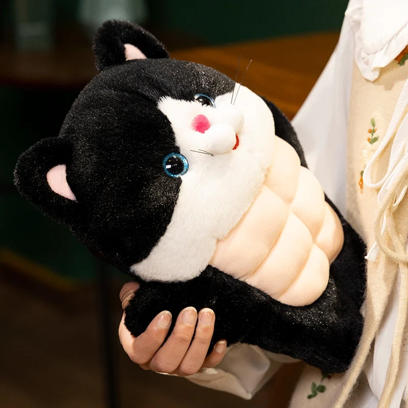 Peluche gato musculoso suave, ideal regalo de San Valentín - imagen 5