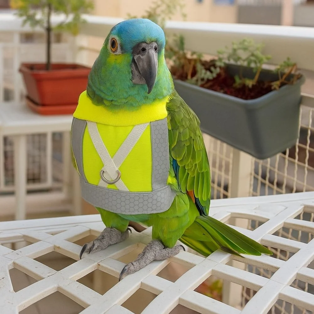Arnés de vuelo ajustable para loros con chaleco seguro y cuerda - imagen 5