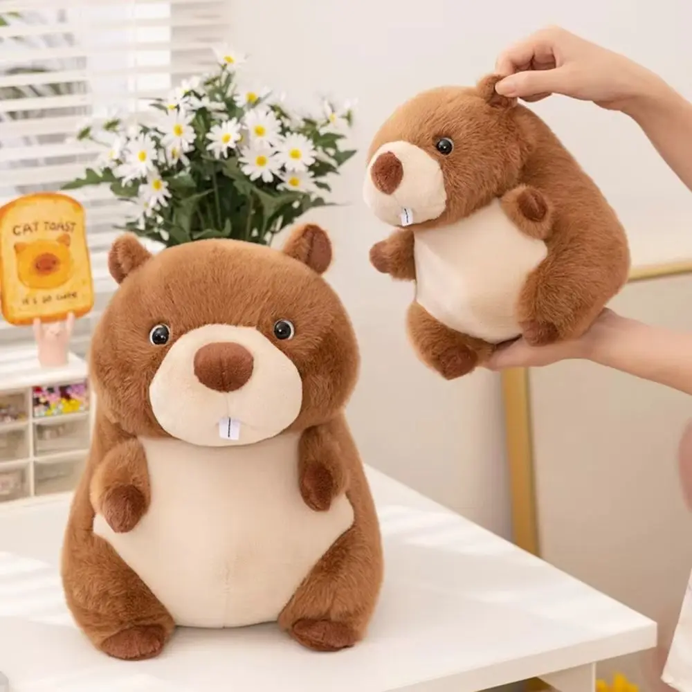 Peluche de mapache esponjoso con relleno de algodón para niños - imagen 4