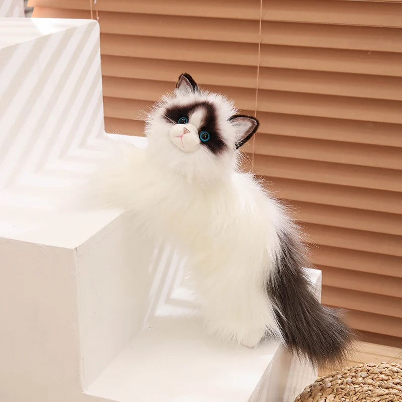 Muñeco peluche gato Ragdoll pelo largo ojos azules - imagen 3