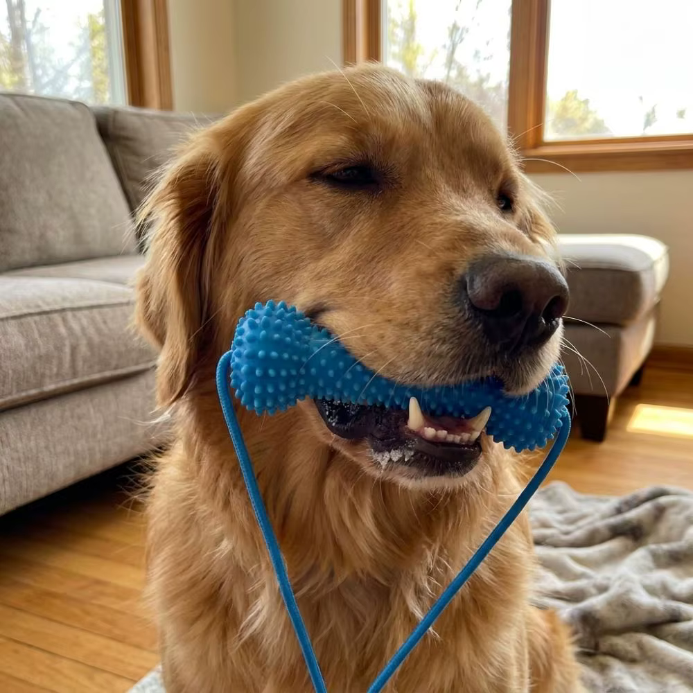 Palo de dentición para perros anti-asfixia resistente a mordidas