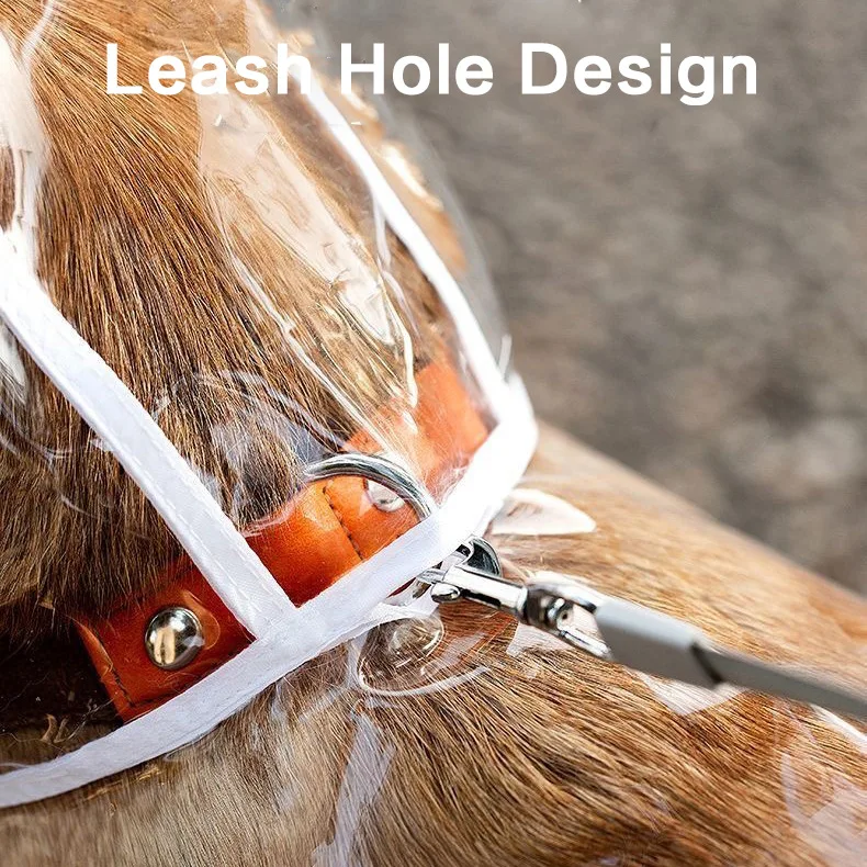 Impermeable para perros grandes transparente y cortavientos - imagen 5