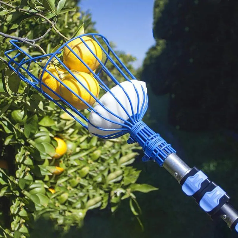 Recogedor de frutas resistente con cesta profunda para jardín – Acero inoxidable
