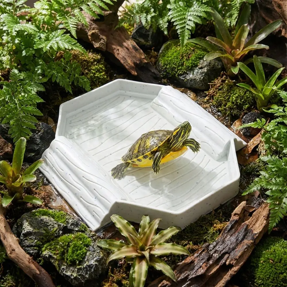 Plato de agua antideslizante para tortugas con rampa - imagen 5