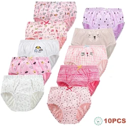 Calzoncillos y bragas algodón infantil con estampado de gato