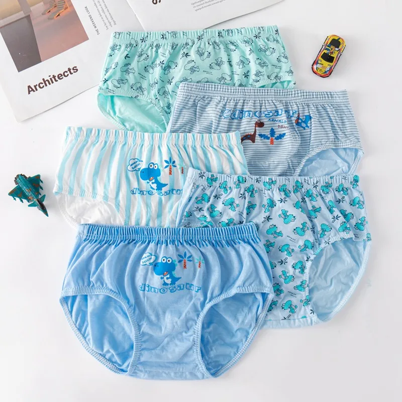 Pack de 5 bragas de dinosaurios en diferentes colores