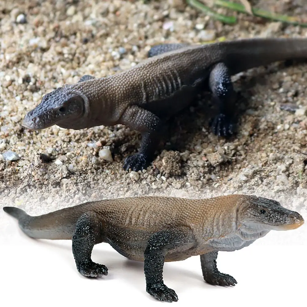Lagarto gigante estilo Komodo para escenas de zoológico