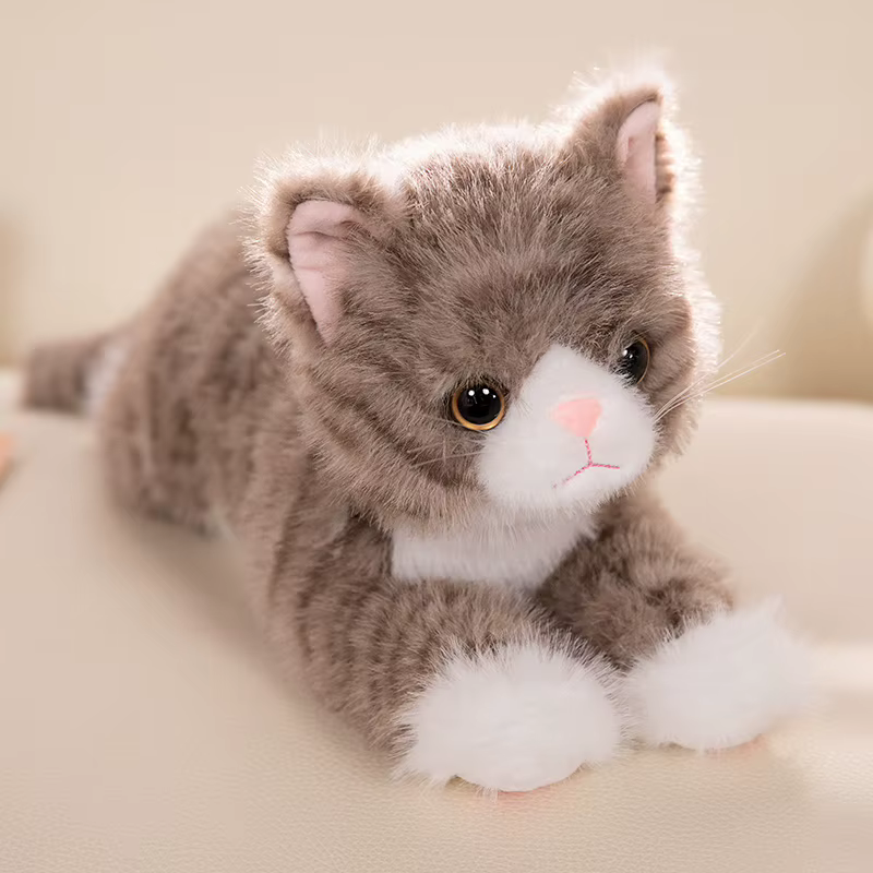 Comparativa de tamaños del peluche gatito