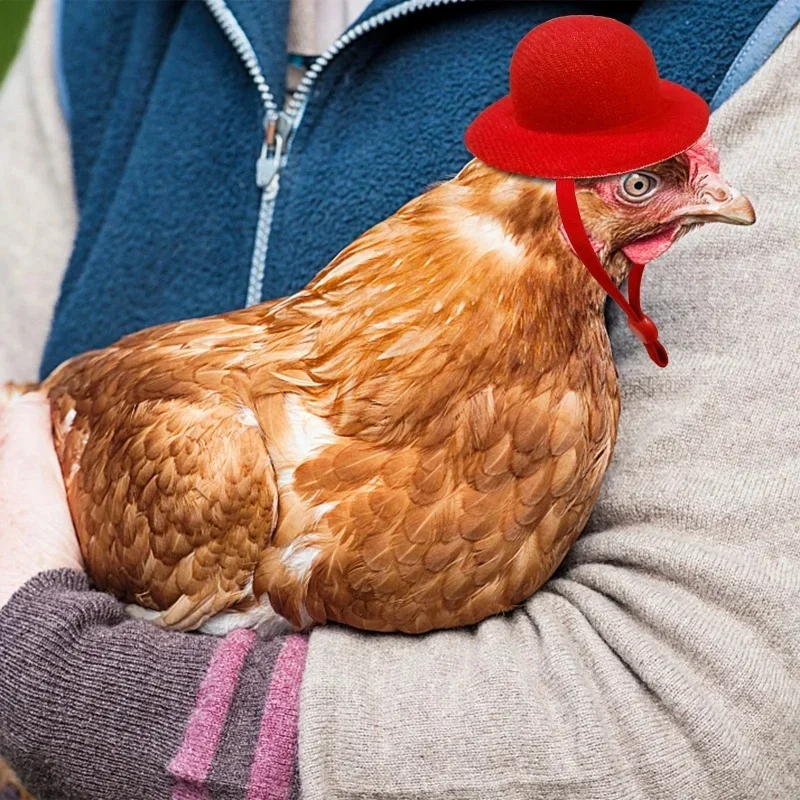 Sombrero de copa infantil pollo para disfraz, elegante - imagen 3