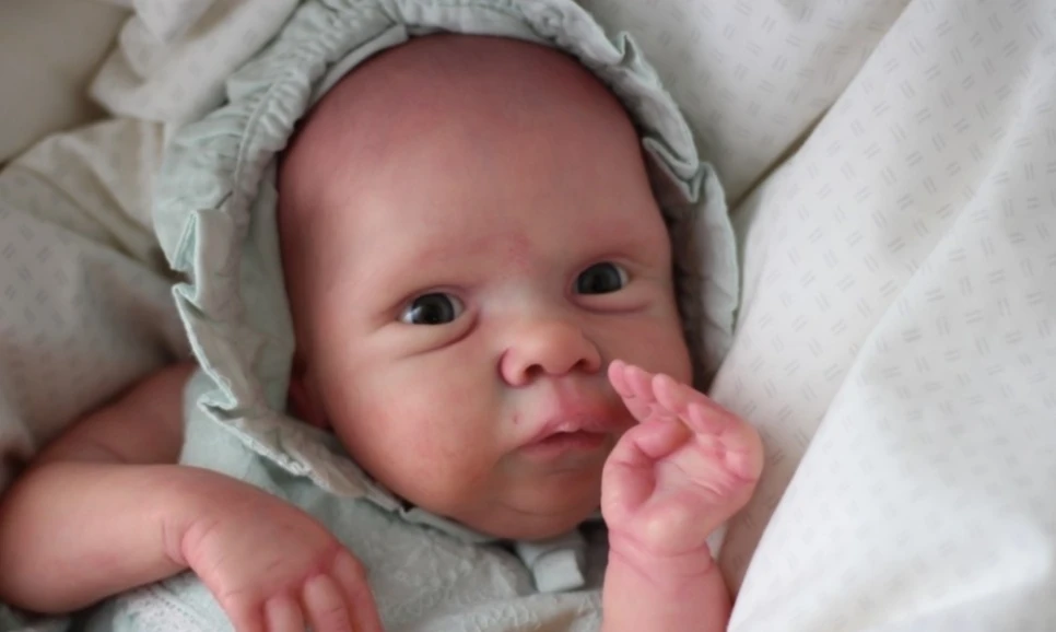 Muñeca Reborn realista con venas visibles lista para usar