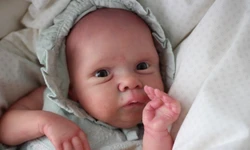 Muñeca Reborn realista con venas visibles lista para usar