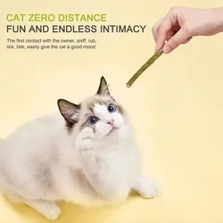 Snack dental de menta para gatos – Juguete masticable relajante